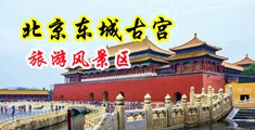 操美国最肥的骚逼中国北京-东城古宫旅游风景区